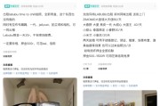 五夫临门闲鱼：LABUBU搜索量环比上涨1000%，供不应求下现租赁新形式