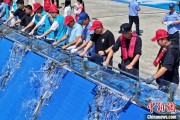 五夫临门2025年全国水生生物同步增殖放流活动在福建举行