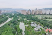 五夫临门西宁市举办六五环境日主题宣传活动